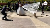Un chien interrompt brusquement une séance photo de mariage : 31,2M de personnes hurlent de rire (vidéo)