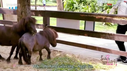 Nụ Hôn Định Mệnh tập 11 (Kiss Me 2015) - Tập 11 Vietsub Full HD, phim Thái Lan hay