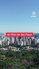 C'est quoi cette mousse blanche dans une des rivières du Brésil ?