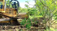 Caterpillar D6R XL Bulldozer Pushes Soil on Plantation