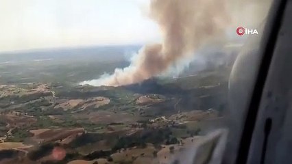 Feu de forêt à Adana：Les équipes interviennent depuis les airs et depuis la terre