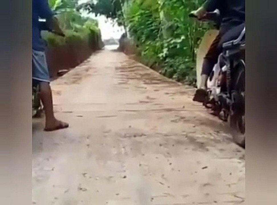 lucu dong