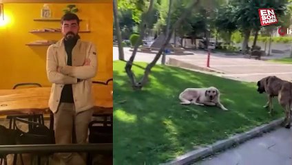 Şanlıurfa'da kuduz köpeğin saldırısına uğrayan genç mimar hayatını kaybetti