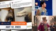 Social media users outraged over puppy-throwing incident | The wRap
