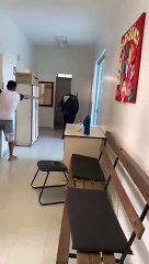 Boi invade unidade de saúde em Divinópolis