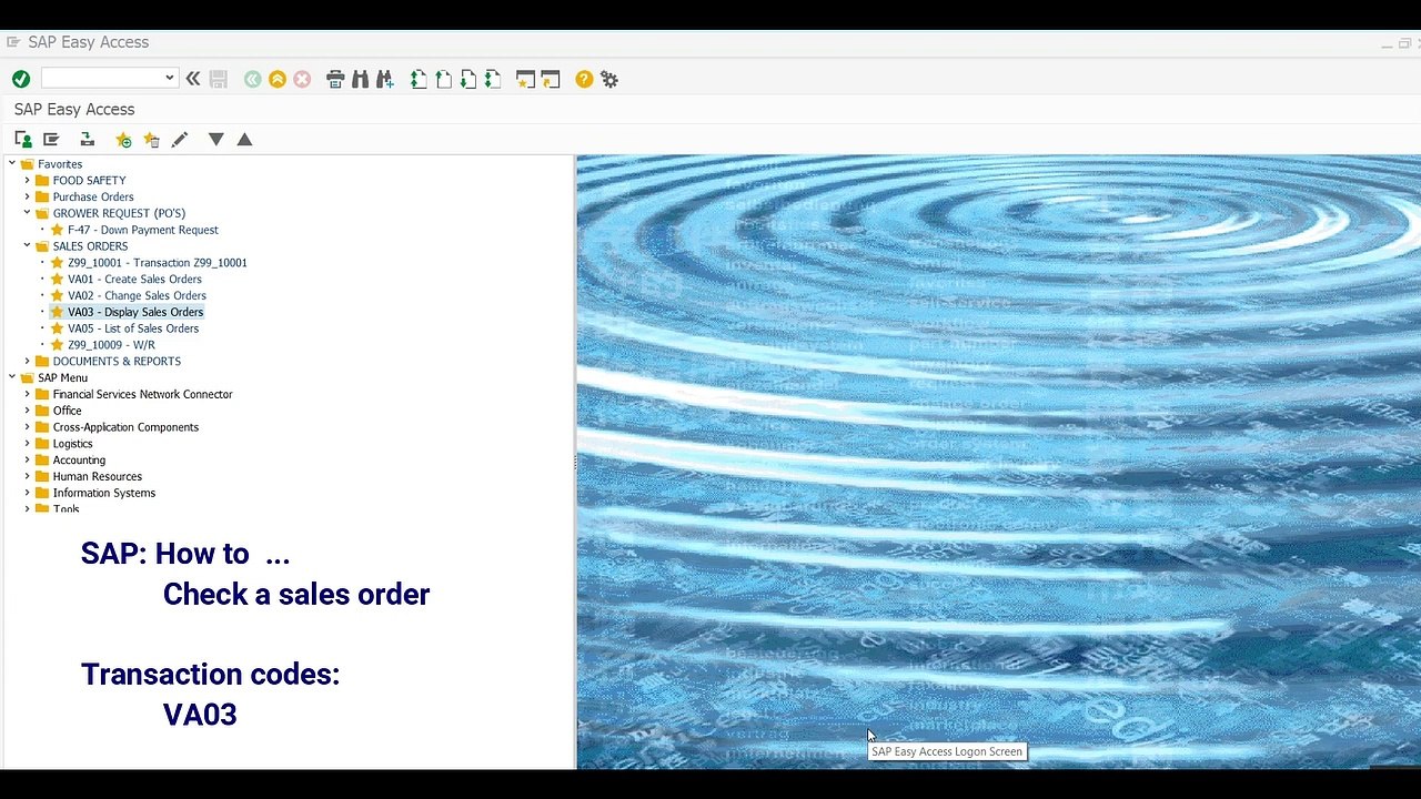 SD Check a sales order
