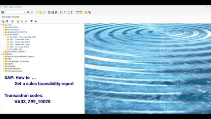 SD Get a sales traceability report