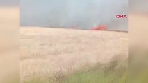 Kırşehir'de Yangın Çıkan Tarlada Traktör Devrildi, Çiftçi Hayatını Kaybetti