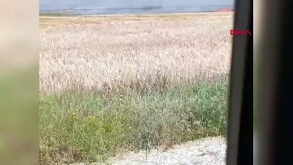 Tracteur renversé dans le champ de tir à Kirşehir, le fermier a perdu la vie