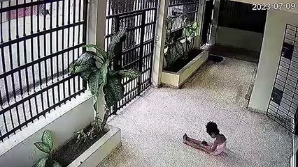 Cámara capta a mujer robándole el celular a una niña en Villa Mella