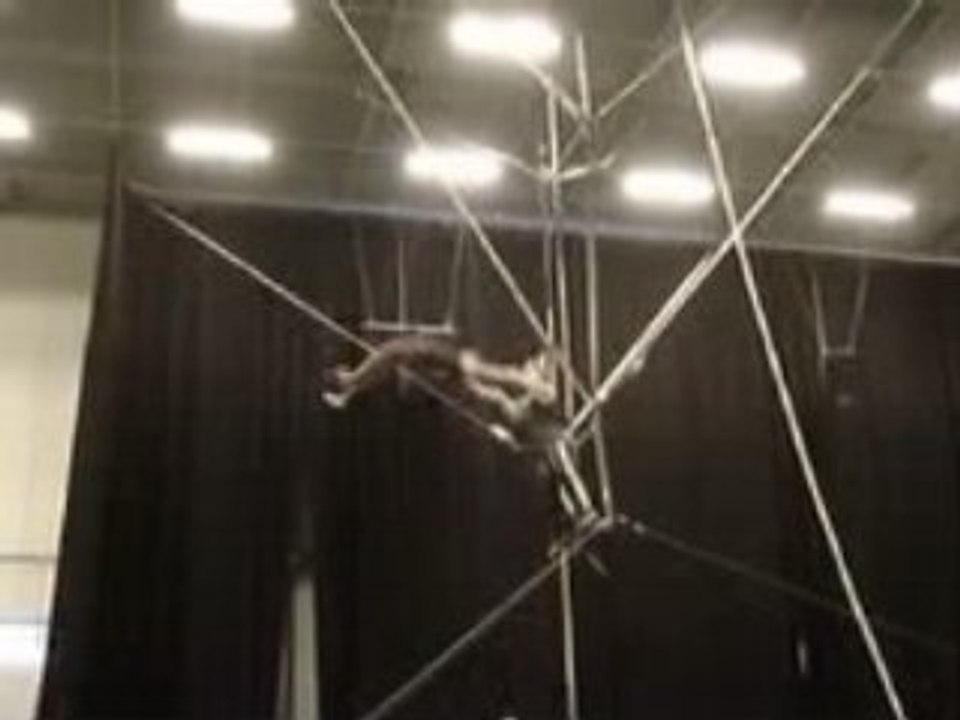 Cirkvost coreen