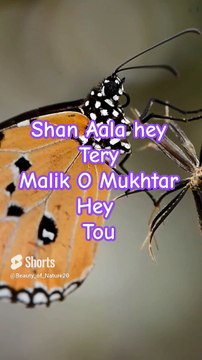 #Beautiful Hamd#Beautiful Nature#Shorts#Shorts with lyrics#