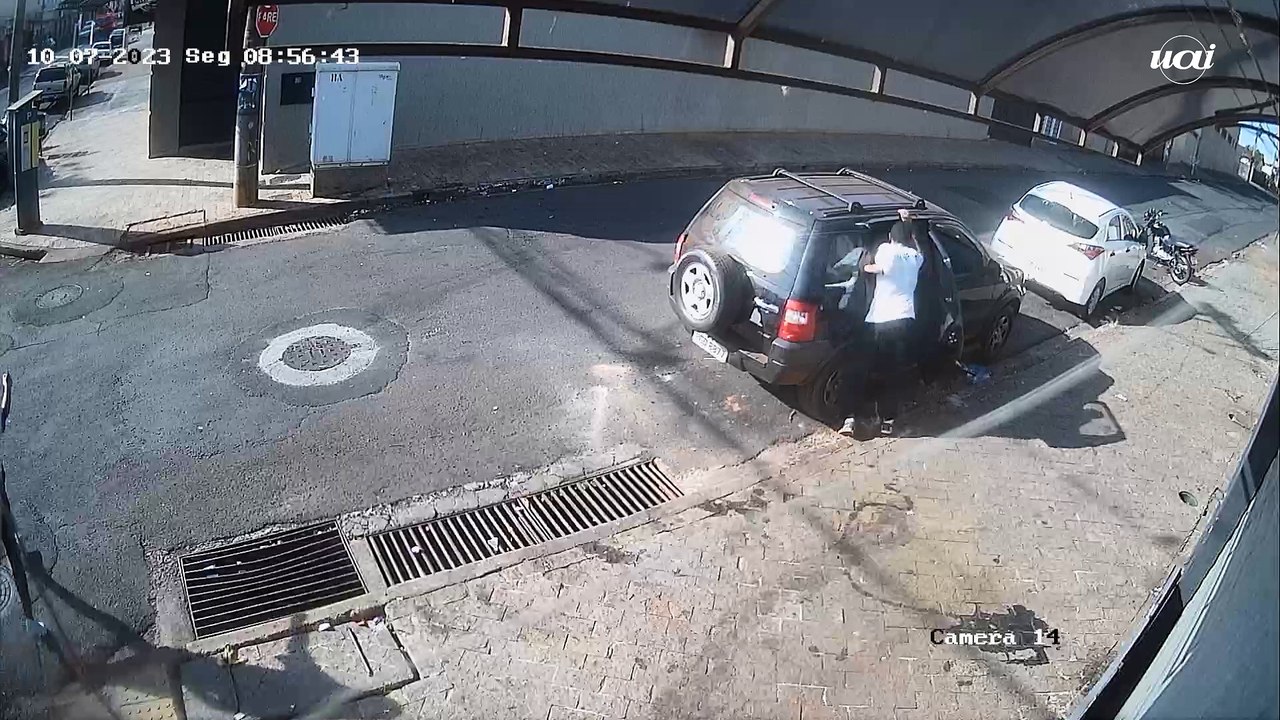 Homem é flagrado abandonando caixa com filhotes de cachorro em Uberaba