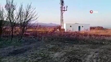 Bu sefer kargalar ormanı yaktı!