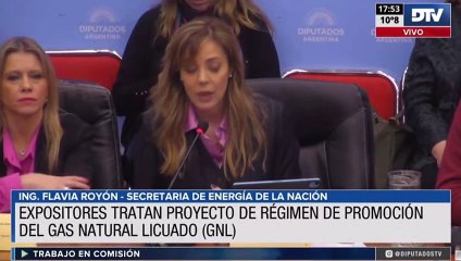 Royon sostuvo que el proyecto de gas natural licuado cambiaría la realidad productiva y económica del país