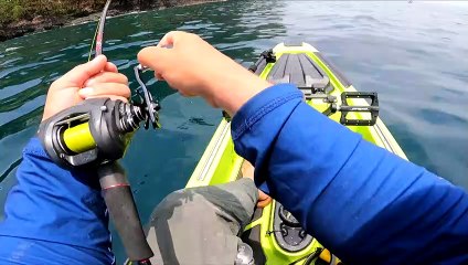 Whale Shark Gets Close to Fisherman's Boat