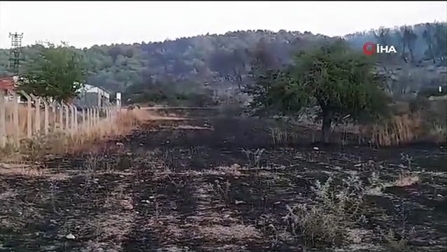 Milas'taki orman yangını kontrol altına alındı