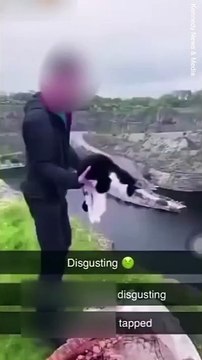 Ils jettent le chat dans le lac en Angleterre： Réactions sur les réseaux sociaux