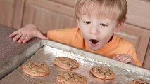 Can You Use Aluminum Foil Instead of Parchment Paper in the Kitchen?