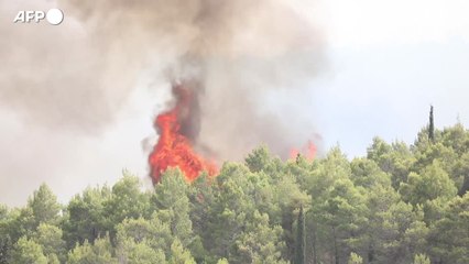 Nel 2022 oltre 30mila reati ambientali, 84 al giorno