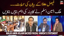 Malik Amin Aslam supported Faisal Vawda's statement regarding Shahzad Akbar