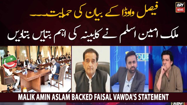 Malik Amin Aslam supported Faisal Vawda's statement regarding Shahzad Akbar