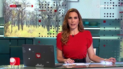 ABT aguarda informe para fijar fecha de suspensión de autorizaciones de quemas