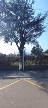 Tour De Ville Grenoblois - Bus 16 Direction Montfleury #France #Grenoble #Bus #Tag #2023 #Citytour (51)