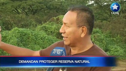 Demandan proteger al Bosque Protector Cerro Colorado, en Guayaquil