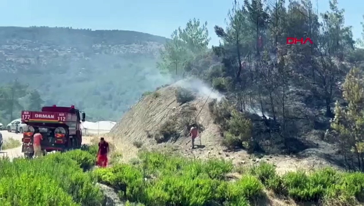 2 hectares de forêt de pins rouges ont été endommagés dans l'incendie de forêt à Kaş