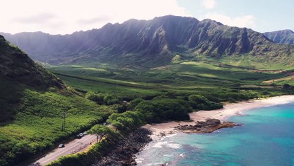 Lush Of Greens In The Seaside
