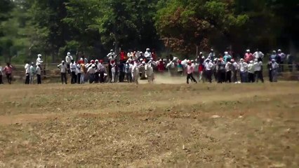 new ox videi race _ bail gada sharyat _ pat