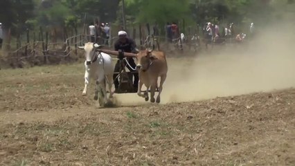 pat pratiyogita video _ barghati bhaiya pat