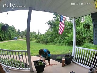 Amazon Delivery Person Pets Friendly Golden Retriever