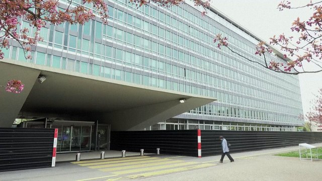 OMS teme que a gripe aviária se adapte com mais 'facilidade' em humanos