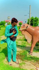 three mental man robbred part 1