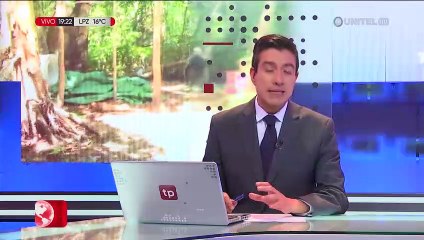 Tras destrucción de seis laboratorios de droga en el Chapare, senadora ‘evista’ increpa a Del Castillo