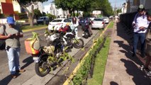 Plantan árboles frente a la casa oficial del gobernador para protestar por tala en la metrópoli