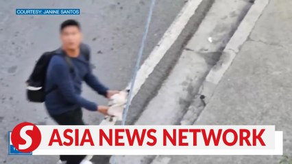 Philippine mall cop fired for tossing puppy off 5m high footbridge after going viral