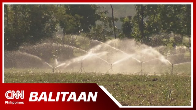 NIA: 10k ektaryang palayan sa Bulacan, Pampanga apektado ng bawas-patubig | Balitaan