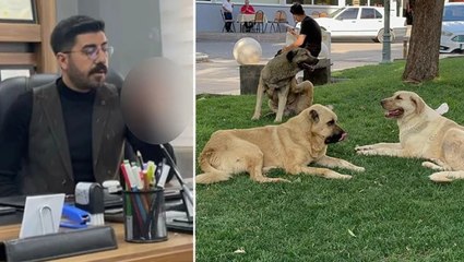 Sokak köpeğinin saldırısına uğrayıp kuduz olan genç mimar öldü