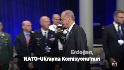 Cumhurbaşkanı Erdoğan, NATO-Ukrayna Komisyonu'nun Devlet ve Hükümet Başkanları Toplantısı'na katıldı