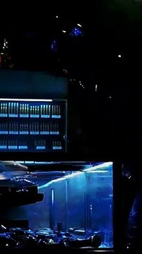 John Wick - When John Wick Doesn't Have Gun