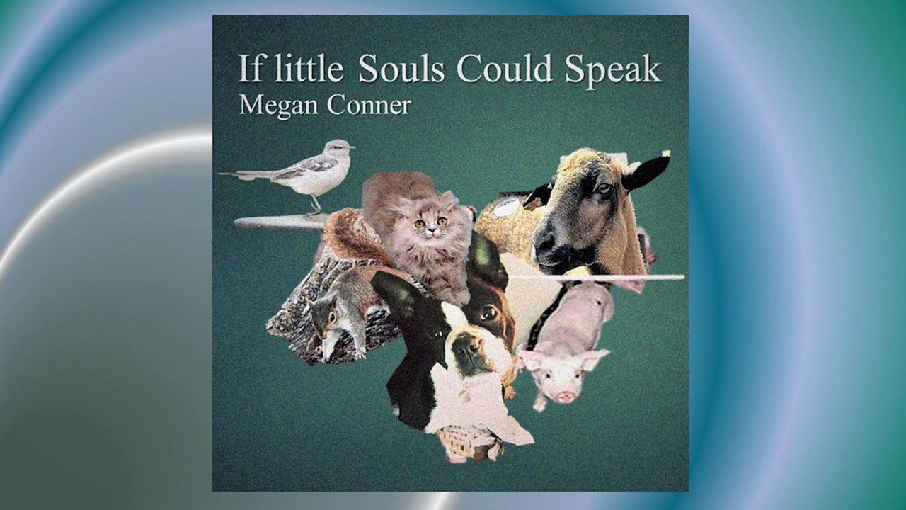 John Stea ~ If Little Souls Could Speak ~ Animal Welfare Song~ (feat. Megan Conner)