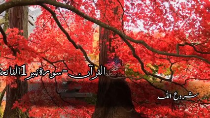 Surah Al Fattiha_quran urdu whatsapp status_ quran tilawat_ urdu islamic whatsap
