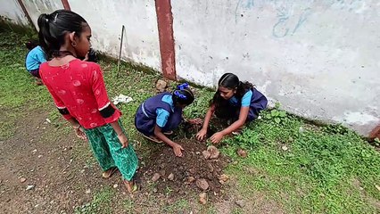 पत्रिका हरित प्रदेश अभियान: प्रकृति वंदना हमारे संस्कारों में शामिल, माता-पिता से मिली ये शिक्षा