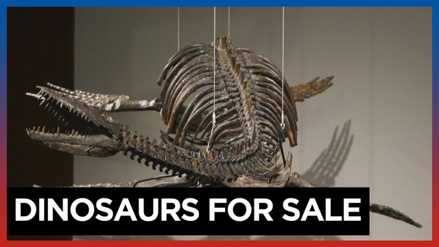 Prehistoric predators go to auction at Sotheby's New York