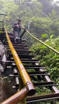 Des escaliers très glissants mais un joli réflexe