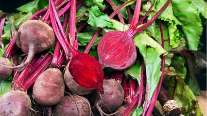 Rote Bete: Kleine Knollen schon im Sommer ernten