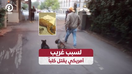 لسبب غريب.. أمريكي يقتل كلباً